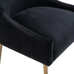 Soft Black Velvet Upholstered Side Chair with Golden Legs (Set of 2) by Boyel Living -MODWAY store black boyel living accent chairs zjxy89 2 black 4f 1000