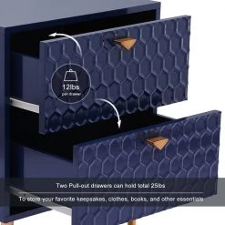 Iron Tube Adjustable Feet Blue Storage Cabinet with 2-Drawer Chest by Boyel Living -MODWAY store blue boyel living accent cabinets bl jh 013 bl 44 1000