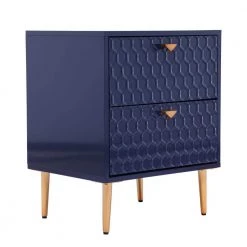 Iron Tube Adjustable Feet Blue Storage Cabinet with 2-Drawer Chest by Boyel Living