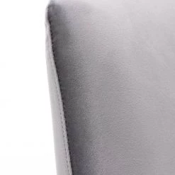 Gray Velvet Upholstered Dining Chair with Electroplated Legs (Set of 2) by Boyel Living -MODWAY store gray boyel living dining chairs wf hfsn 128gy 1f 1000