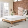Aveline 10in. Plush Memory Foam Tight Top Queen Mattress by MODWAY 2 Aveline 10in. Plush Memory Foam Tight Top Queen Mattress by MODWAY -MODWAY store white modway mattresses mod 5338 whi 64 1000