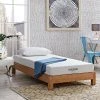 Aveline 6in. Plush Memory Foam Tight Top Twin Mattress by MODWAY -MODWAY store white modway mattresses mod 5344 whi 64 1000